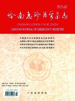岭南急诊医学杂志杂志